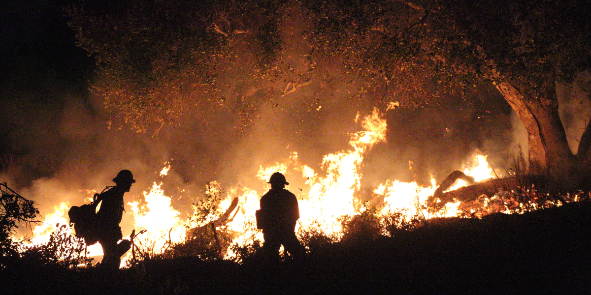 Firefighters